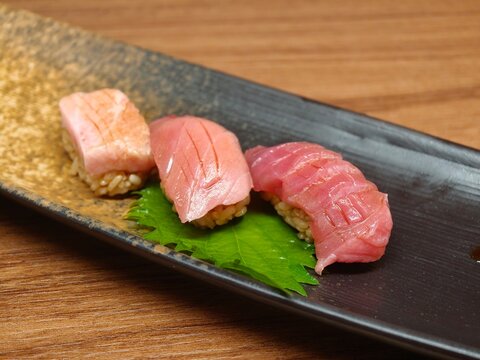 Premium Nigiri Sushi Otoro Salmon Dark Plate Japanese Food