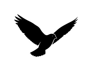 Fototapeta premium Majestic bird in mid flight with outstretched wings soaring freely