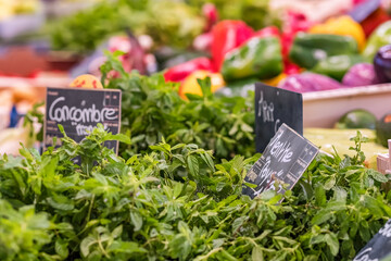 Bunches of fresh green mint herbs at a market