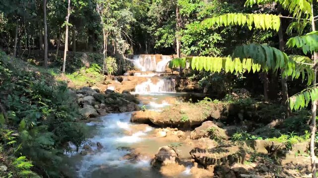 flowing water stream creek cascade waterfall in tropical forest