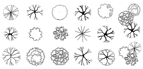 Vector set of Top view  tree for outdoor plan or map and architecture drawing, elements for environment and garden ,botanical elements ,Blooming flowers in spring,tropical plants element © Chanya_B