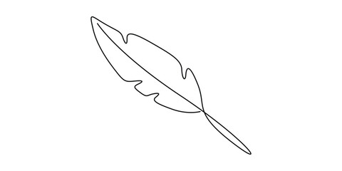 Minimalist line art drawing of a feather, Single line drawing of bird feather vector design