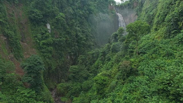 Kabut pelangi waterfall flowing in a lush green rainforest canyon in east java