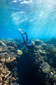 Woman freediving over a coral reef on the Great Barrier Reef