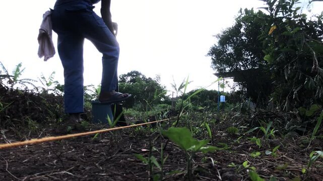 elderly farm worker is using a shovel to till the soil in a garden plot.