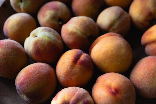 Close up of home grown fuzzy peaches in natural light