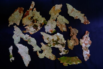 old map of the world