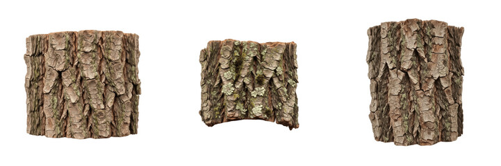Set of Natural Rough Tree Bark Sections PNG - Oak Wood Bark Textures for Digital Art with Transparent Background PNG