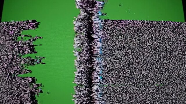 Green screen with static and horizontal lines, glitch effect.