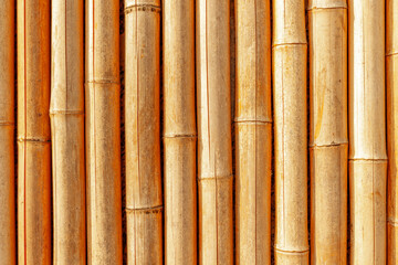 Golden bamboo stems vertical pattern with warm tones