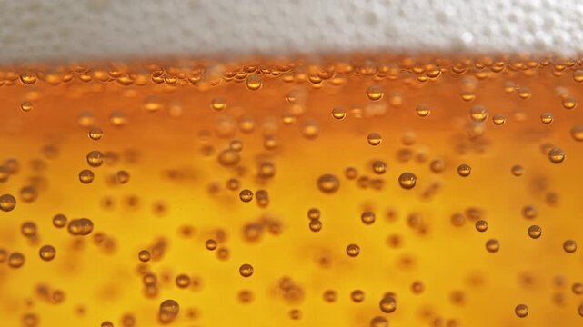 Bubbles Rising to the Beer Head in Macro and Slow Motion. Glass Filled with Golden Carbonated Liquid and Frothy Foam on Top
