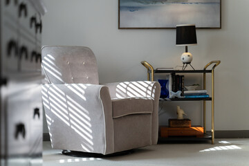Modern velvet rocking chair in bright living room with bookshelf © Trey