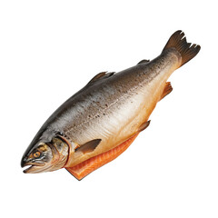 Obraz premium A large silver fish with orange fins on a black background