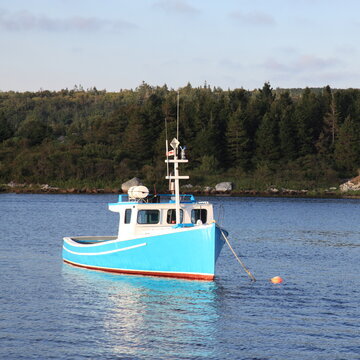 This classic bright-blue lobster boat rests peacefully on the calm waters of a Nova Scotia harbour, tied to its buoy with the dense evergreen forests of the Canadian coastline framing the scene