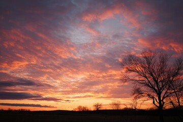 The Promise of Longer Spring Evenings