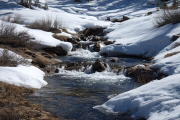 Rushing Streams Born from Melting Snow