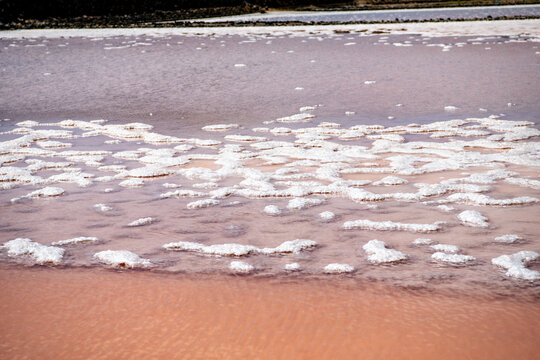 Salt harvesting in coastal salinas, Canary Islands, Spain