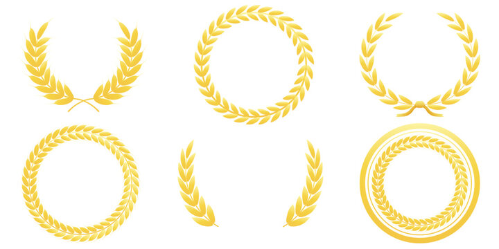Gold laurel wreaths and wheat ears frames for winner trophy, success and anniversary design. Collection, set isolated on transparent background. Vector illustration.
