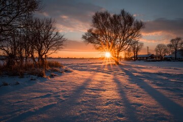 After Winter, the First Warm Sun Appears