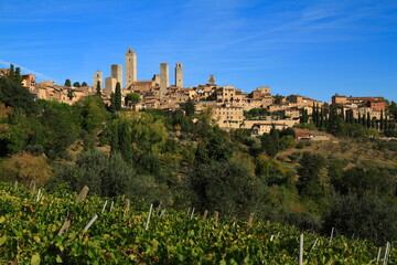 Naklejka premium San Gimignano's Historic Medieval Towers in Tuscany, Italy