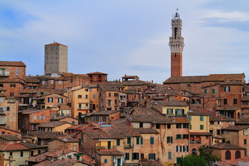 Naklejka premium Siena, medieval town in Tuscany, with view of the Dome & Bell Tower of Siena Cathedral, Italy