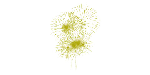 Obraz premium A vibrant yellow firework explodes in the dark night sky