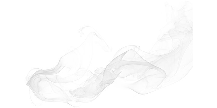 A mesmerizing display of smoke swirling against a dark background