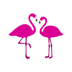 Obraz premium pink flamingo vector