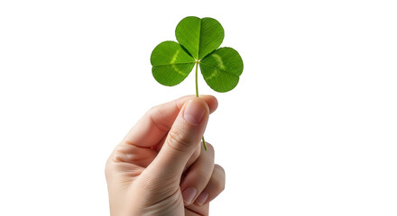 Hand holding four leaf clover for luck and nature concept, isolated on white background