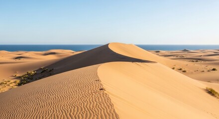 Golden sand dunes sculpted by wind, meeting the blue sea under a clear, bright sky