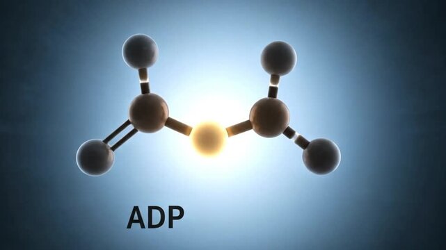 3D Adenosine Diphosphate ADP Molecule Model with Energy Glow