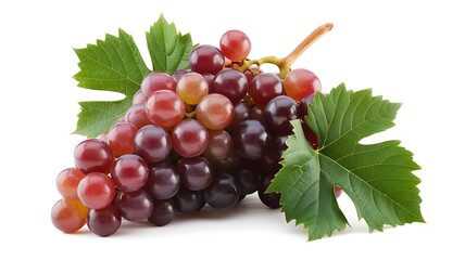 Fototapeta premium Fresh red grapes with green leaves on white background