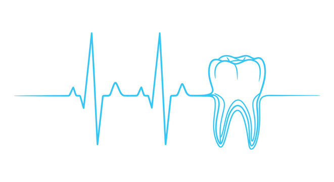 A fluid heartbeat line seamlessly integrates a stylized human tooth, representing dental health and vitality.