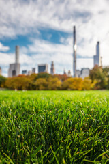 Low angle close up of green grass in Central Park with blurred Manhattan skyline and autumn trees in New York City USA