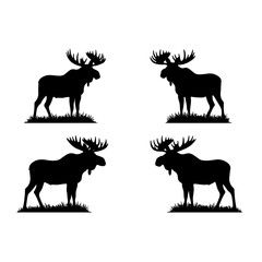 Fototapeta premium Wild moose deer silhouettes standing on grass vector illustration set for nature wildlife conservation forest animal hunting labels camping outdoor adventure and wilderness environment theme art.
