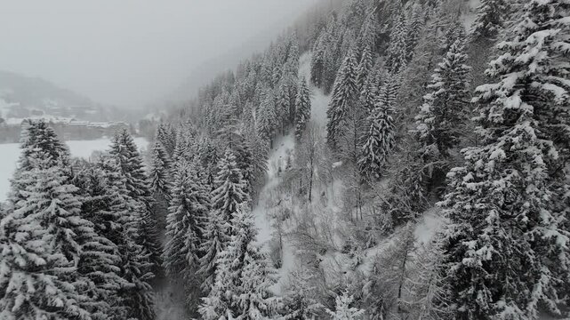 inverno bosco neve nevicata drone fpv 