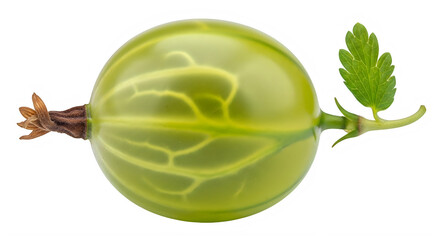 A single green gooseberry with leaves and stem isolated on transparent background