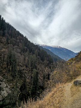 Vertical Landscape View of Narrow Dirt Trekking Trail Winding Along Steep Pine Forest Slope Towards Snow Capped Himalayan Peaks in Himachal Pradesh.