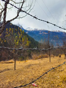 Vertical Close up of Barbed Wire Fence with Out of Focus Golden Autumn Orchard and Hazy Blue Himalayan Mountains in Himachal Pradesh India.