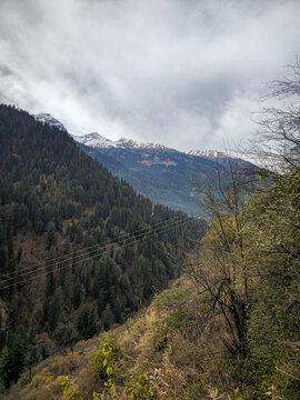 Vertical Landscape View of Dense Pine Forest Slope and Power Lines Overlooking Snow Capped Himalayan Peaks in Himachal Pradesh India.