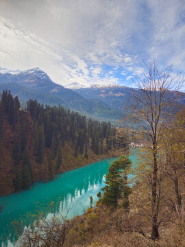 Vertical Landscape View of a Vibrant Turquoise Mountain River Winding Through Dense Pine Forests and Snowy Himalayan Peaks in Himachal Pradesh India.