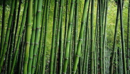 Obraz premium green bamboo stems arranged vertically showing off their textured surface and carved details botanical garden of rome italy