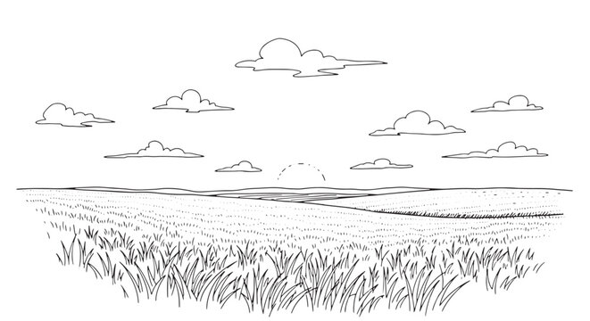 Hand Drawn Grassy Field and Sun Sketch