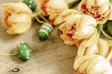 Tulpen auf Holz Ostereier und Platz f&uuml;r Text
