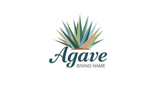 wie sieht eine agave aus Agave 'Impressive' - Agave impressa impressive main image 1