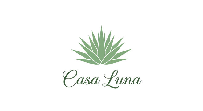 Casa Luna logo with agave plant illustration.