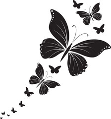 black and white butterfly