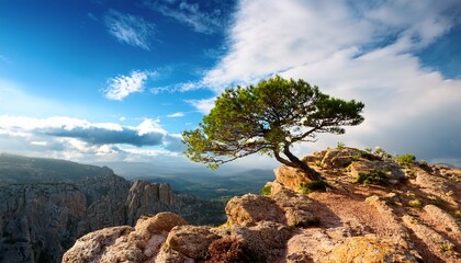 a solitary tree on a clifftop in a rocky landscape with a blue sky and clouds