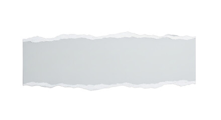 Fototapeta premium Torn paper edge with rough texture and frayed borders on white isolated on transparent background