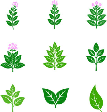 icon tobaco leaves